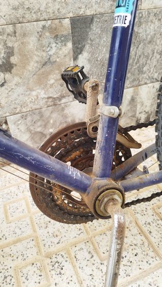 Bicicleta montaña clásica