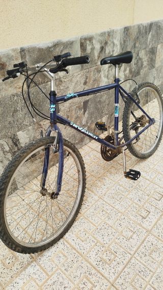 Bicicleta montaña clásica