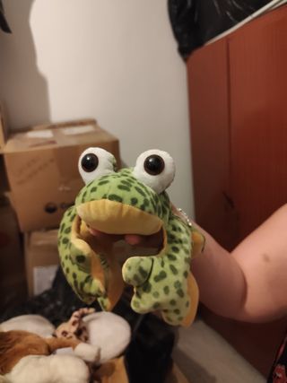 Rana peluche - Muñeco rana