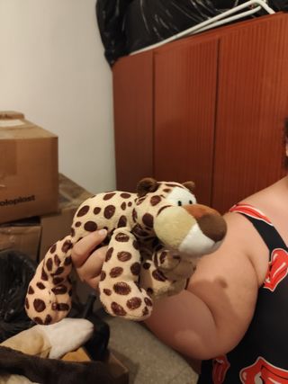 Rana peluche - Muñeco rana