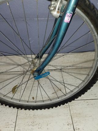 Bicicleta de los Años 90