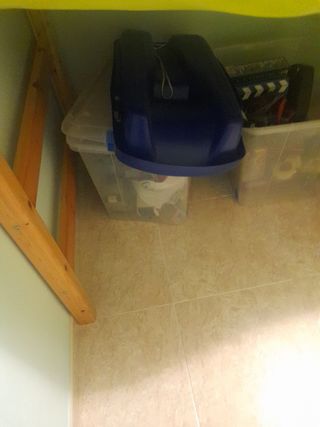 Cama litera infantil madera para colchón de 90 cm