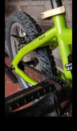 Bicicleta Niño/niña 20" Verde