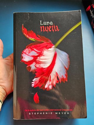 Luna nueva