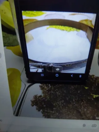 Cinturón GIRASOL beige nuevo largo 93 cm negro 112