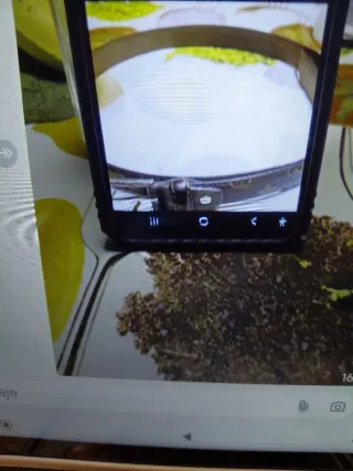 Cinturón GIRASOL beige nuevo largo 93 cm negro 112