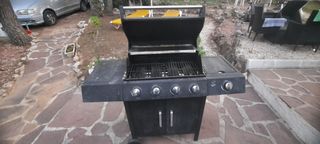 Barbacoa exterior 4 fuegos un botano