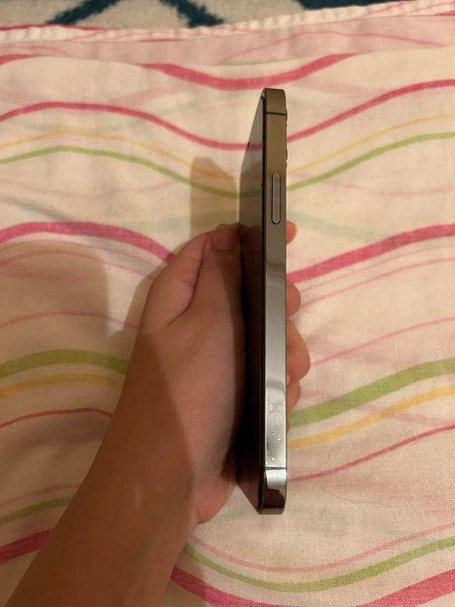 iPhone 12 Pro 256GB - Negro