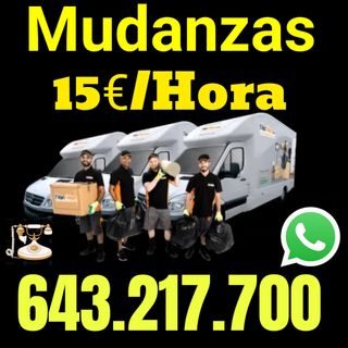 Mudanzas Profesional
