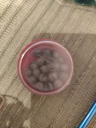 Caña de pescar+Kit de accesorios