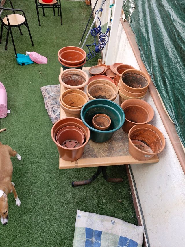 Macetas de barro y plástico