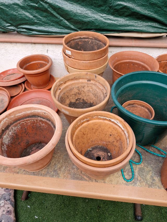 Macetas de barro y plástico