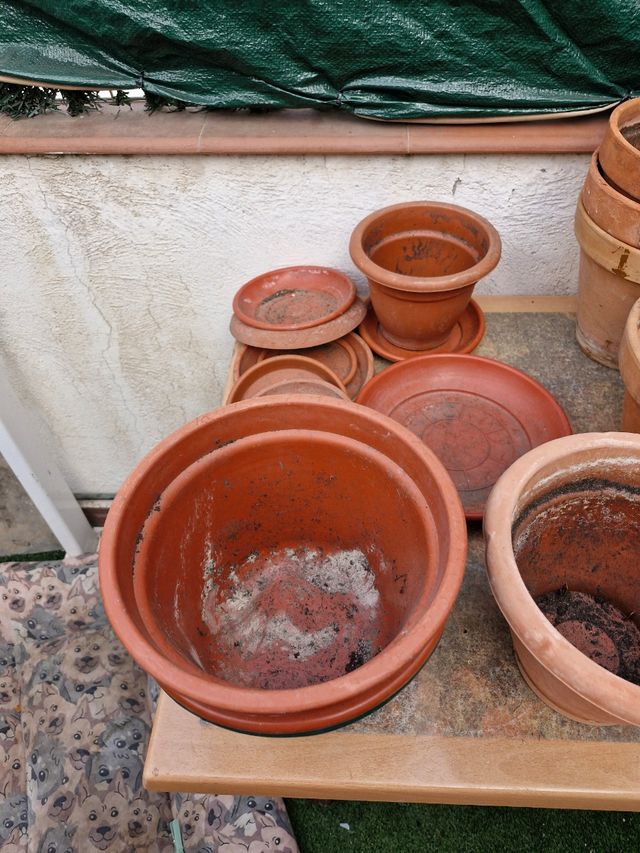 Macetas de barro y plástico
