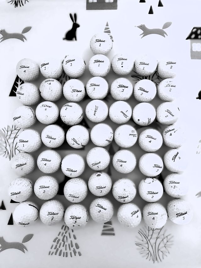 50 Bolas Golf Titleist usadas