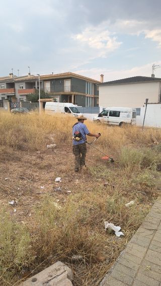 Jardineria