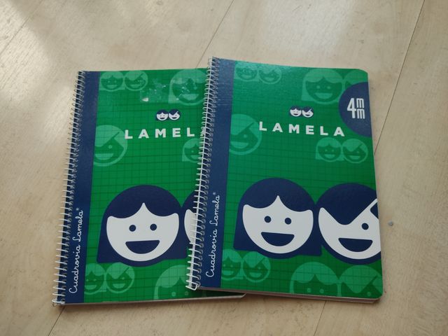 2 Cuadernos Lamela 4º mm