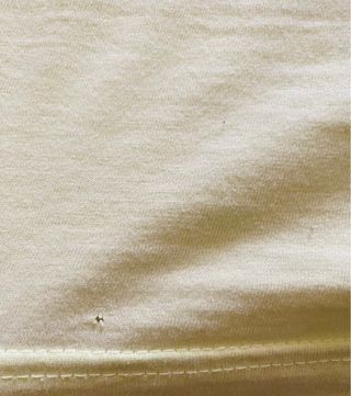 Camiseta de Springfield