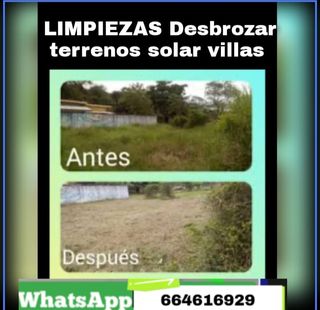 Limpieza terrenos - Desbroce