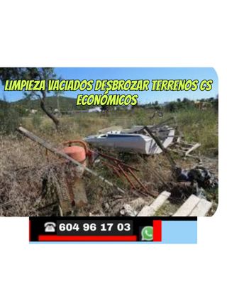 Limpieza terrenos - Desbroce