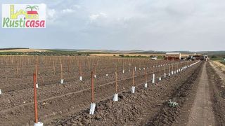 Terreno en venta en Mengíbar