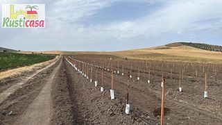 Terreno en venta en Mengíbar