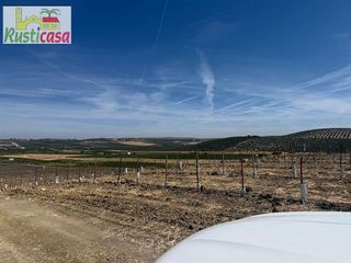 Terreno en venta en Mengíbar