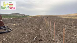 Terreno en venta en Mengíbar