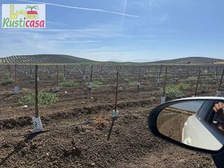 Terreno en venta en Mengíbar