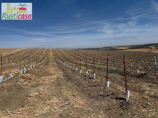 Terreno en venta en Mengíbar