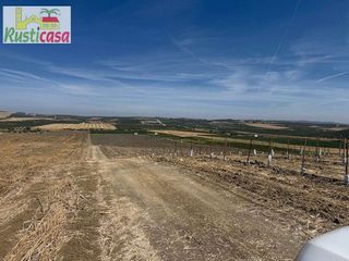 Terreno en venta en Mengíbar