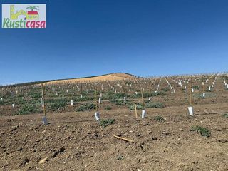 Terreno en venta en Mengíbar