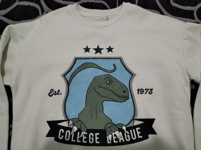 Sudadera Sfera dinosaurio talla 13-14