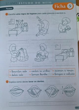 Tico 2 Fichas Estudo do Meio 2 Ano