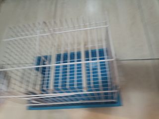 Jaula pajaros pequeña azul y blanca