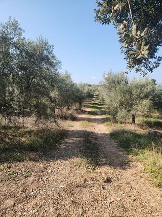 Terreno en venta en Polinyà