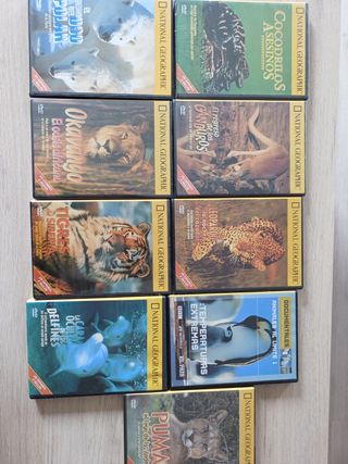 DVDs National Geographic: 9 documentales