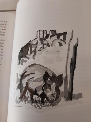 LIBROS DE CAZA LARGA PLETINA DEL DOCE (Y OTROS REL