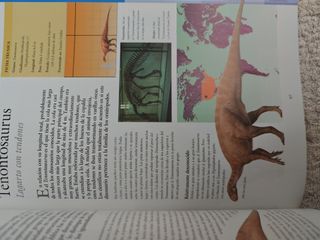 Larousse de los Dinosaurios/ Larousse of the Di...