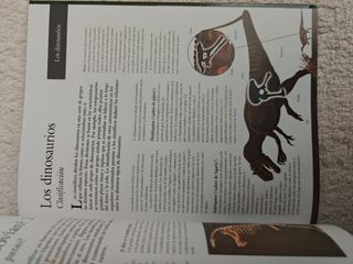 Larousse de los Dinosaurios/ Larousse of the Di...