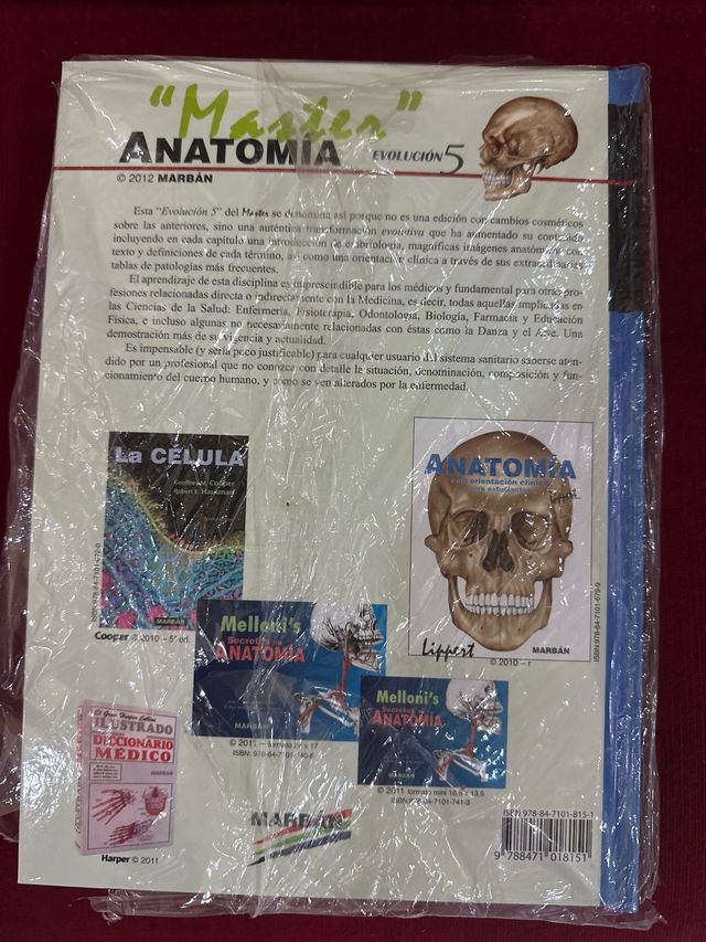 Máster anatomía EVO 5