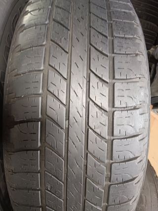 Neumáticos 225/65/R17