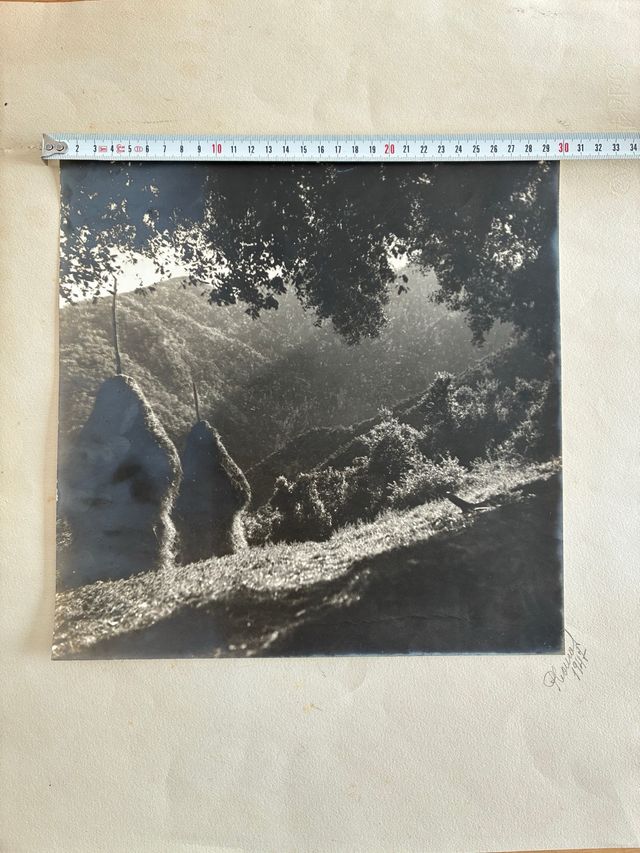 Fotografia antiga 1947. Signada a mà.