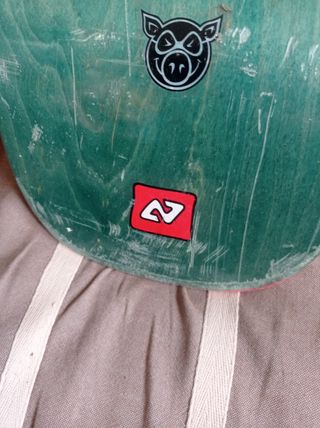 Tabla Skate Hydroponic 
(Sergie Arenas)