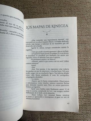 Los mapas de Kinegea: Libro juvenil de aventura...