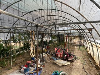 Invernadero agrícola