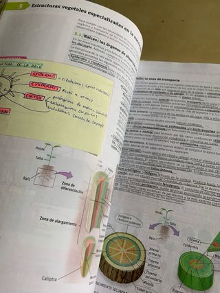 Biología y geología. 1 Bachillerato. Savia (Spa...