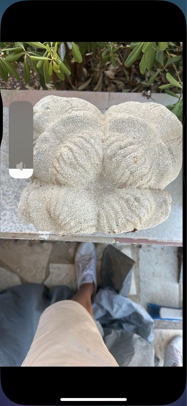 Cabeza de león piedra antigua