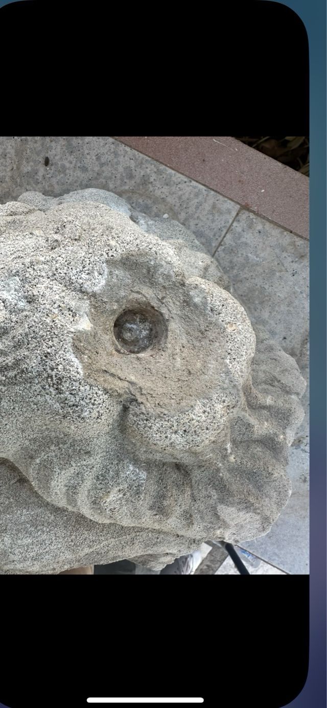 Cabeza de león piedra antigua