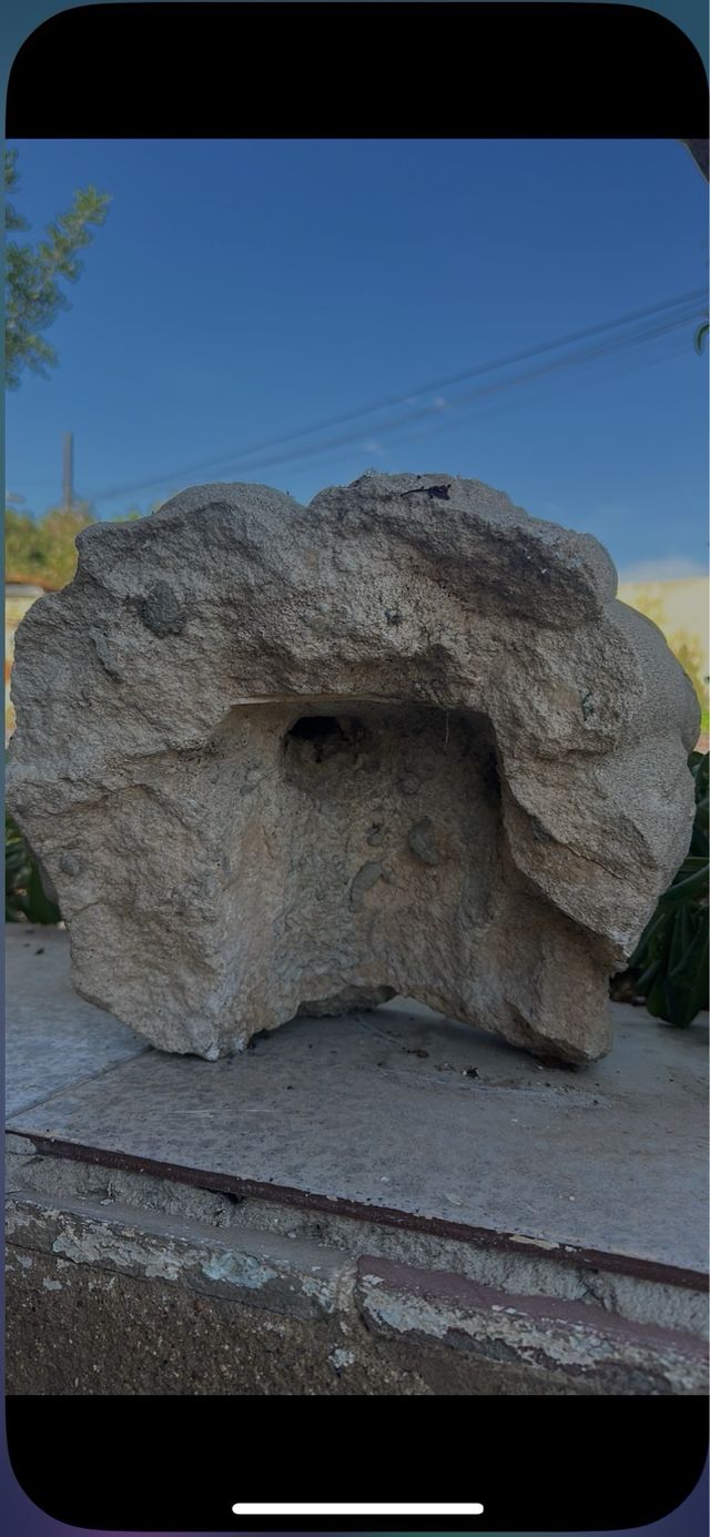 Cabeza de león piedra antigua