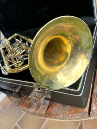 Trompeta 
